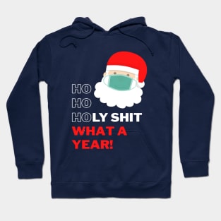 Ho Ho Holy Shit What a Year - Merry Christmask Santa Hoodie